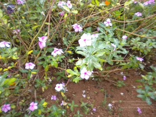 October 01 2010