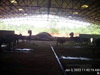 January 03 2022