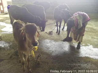 February 11 2022