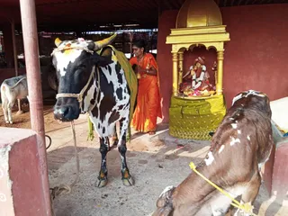 Feb 8 2022 sripuram