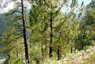 July 01 2008