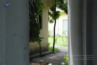 July 10 2008