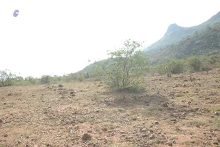 1978 - Tiruvannamalai - InnerGirivala