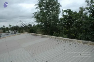 June 11 2010