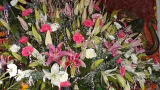 January 01 2009