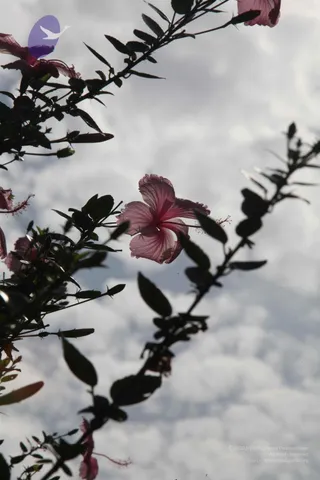 20110828 Photo 1062 1v8nN-owE882PKE1NV9Tv0wHsGErrVPrK.JPG