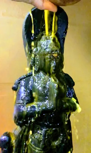 KAILASA SAN JOSE, USA on 5/1/2022