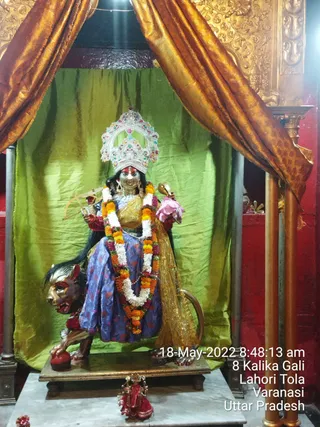Photo 9916730