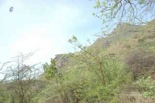 1978 - Tiruvannamalai - InnerGirivala
