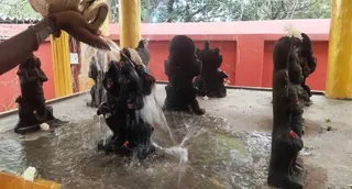 December 26 2021 sripuram Sarvajanpeetam