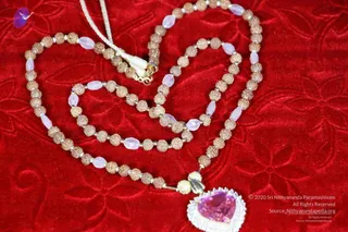 2011 PhotoAbum galleria 7520 CMP WM.jpg