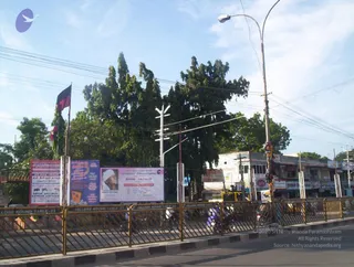 November 19 2005