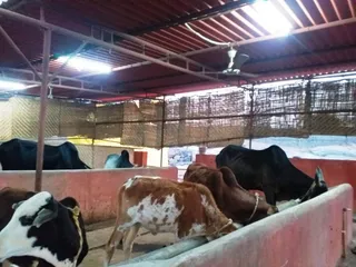Jan 4 2022 sripuram