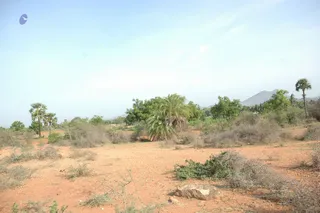 1978 - Tiruvannamalai - InnerGirivala
