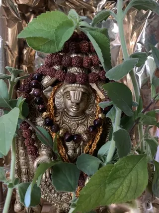 KAILASA LATIN AMERICA on 9/7/2021