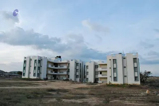 November 20 2008