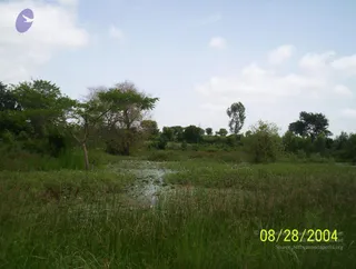 August 28 2004