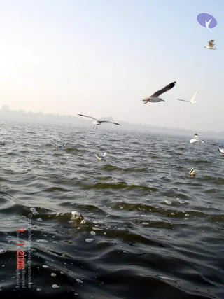 20060108 DSC00017 CMP WM 11.jpg