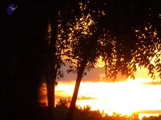 June 18 2010