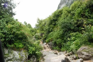 July 08 2008