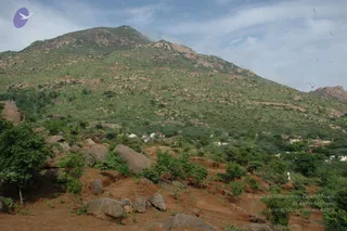 May 20 1989