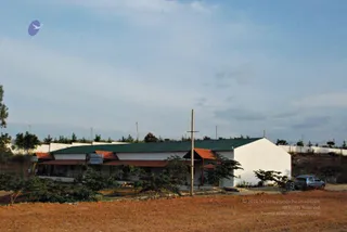 November 20 2008