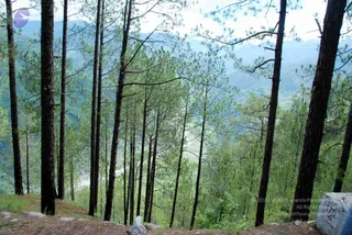 July 01 2008