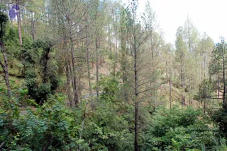 July 01 2008