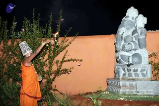 November 01 2011