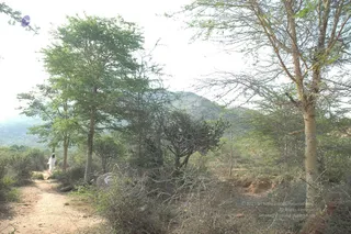1978 - Tiruvannamalai - InnerGirivala