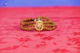 2011 PhotoAbum galleria 7580 CMP WM.jpg