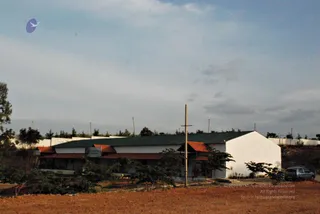 November 20 2008