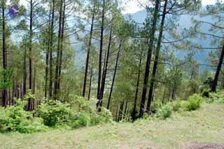 July 01 2008