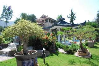 October 29 2008