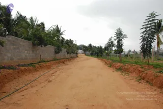 July 20 2009