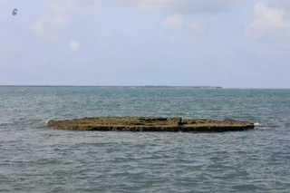 April 29 2018