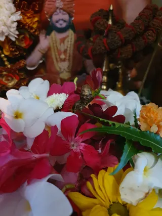 Photo 9917095