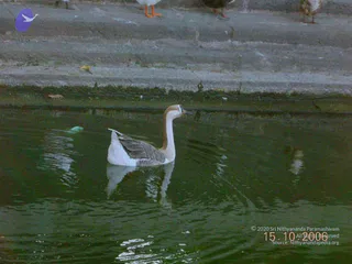 October 15 2006