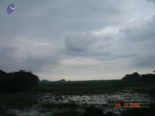 October 29 2006
