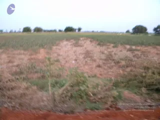 October 02 2009