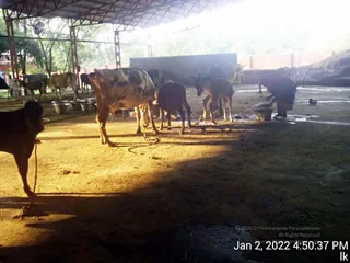 January 02 2022