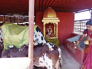Jan 31 2022 sripuram