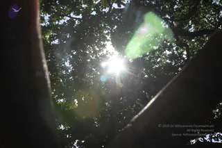 September 13 2013