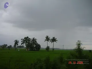October 29 2006