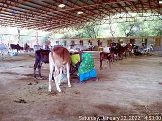 January 22 2022