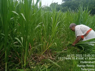 July 27 2022 Sripuram