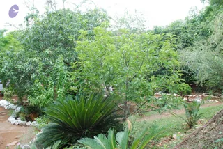 July 27 2008