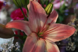 February 06 2010