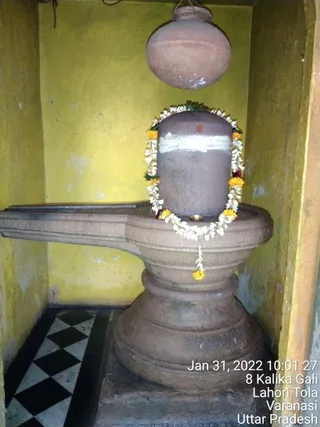 KAILASA India Uttar pradesh Kashi 221001 on 1/31/2022