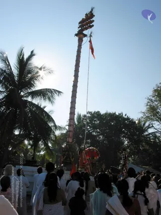 20081223 IMG 0151 CMP WM1.jpg
